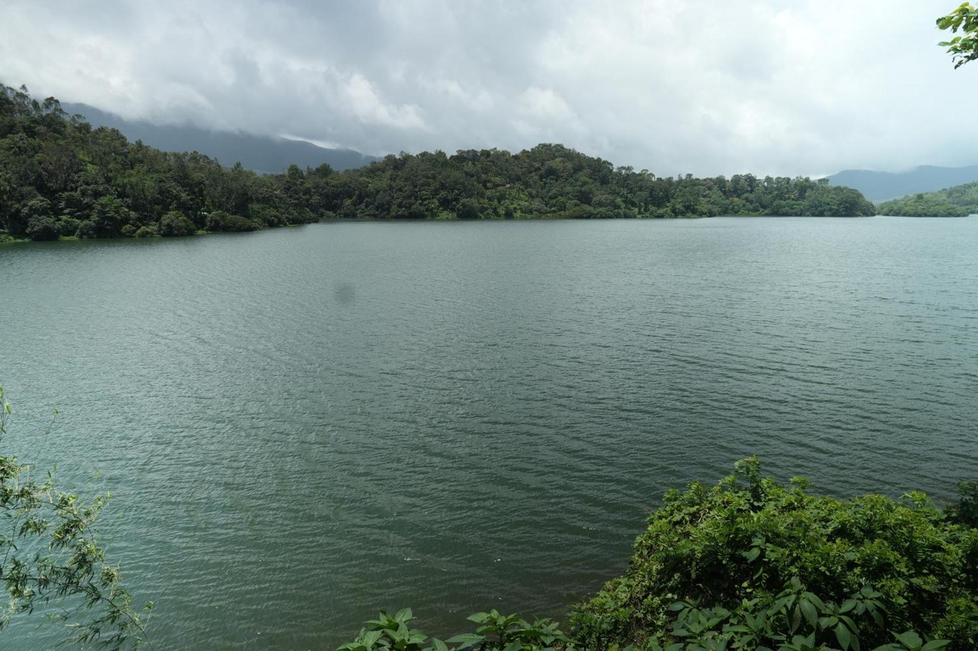 Wayanad Silverwoods Forest Resort & Spa Padinjarathara Eksteriør billede