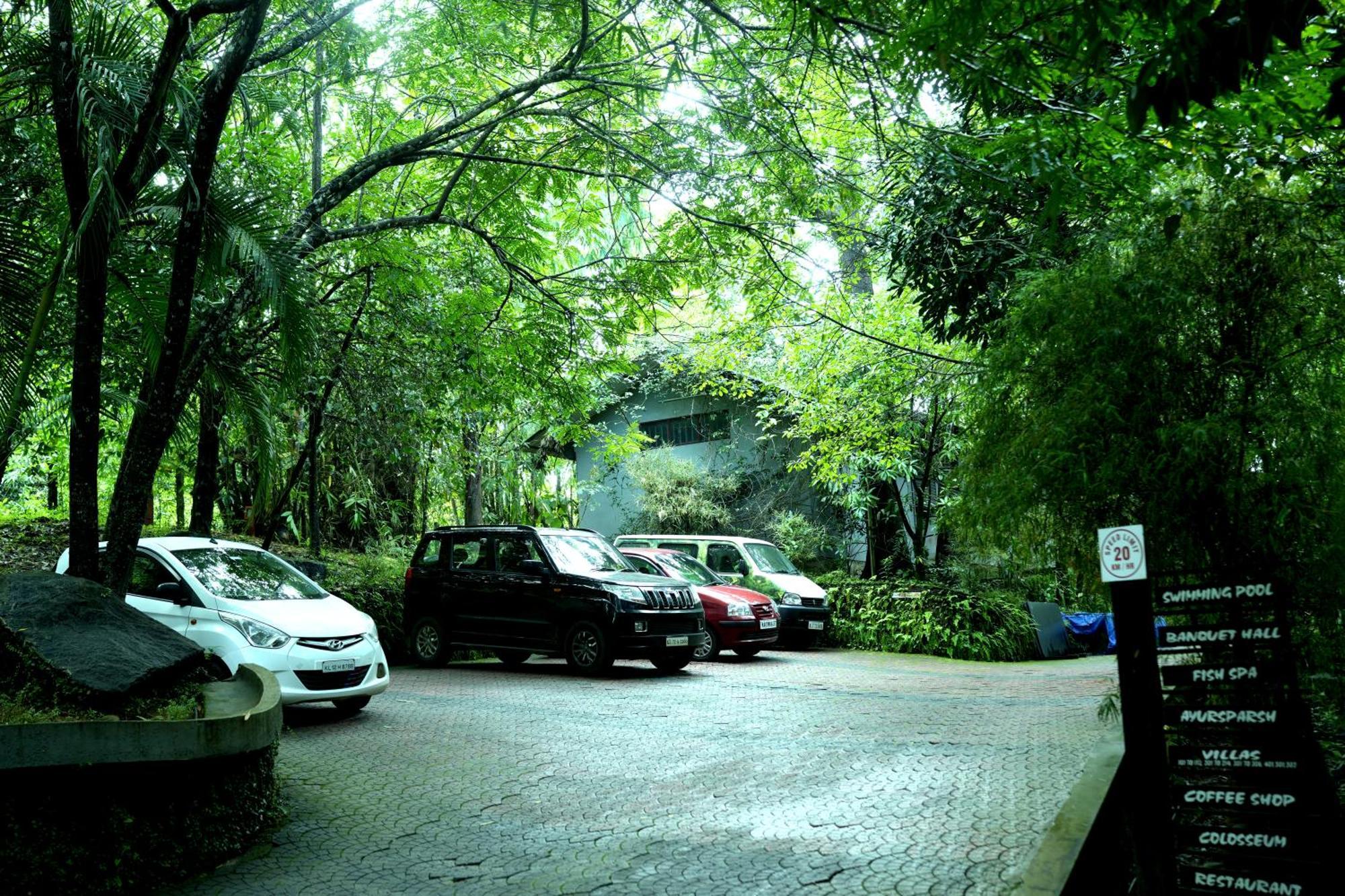 Wayanad Silverwoods Forest Resort & Spa Padinjarathara Eksteriør billede