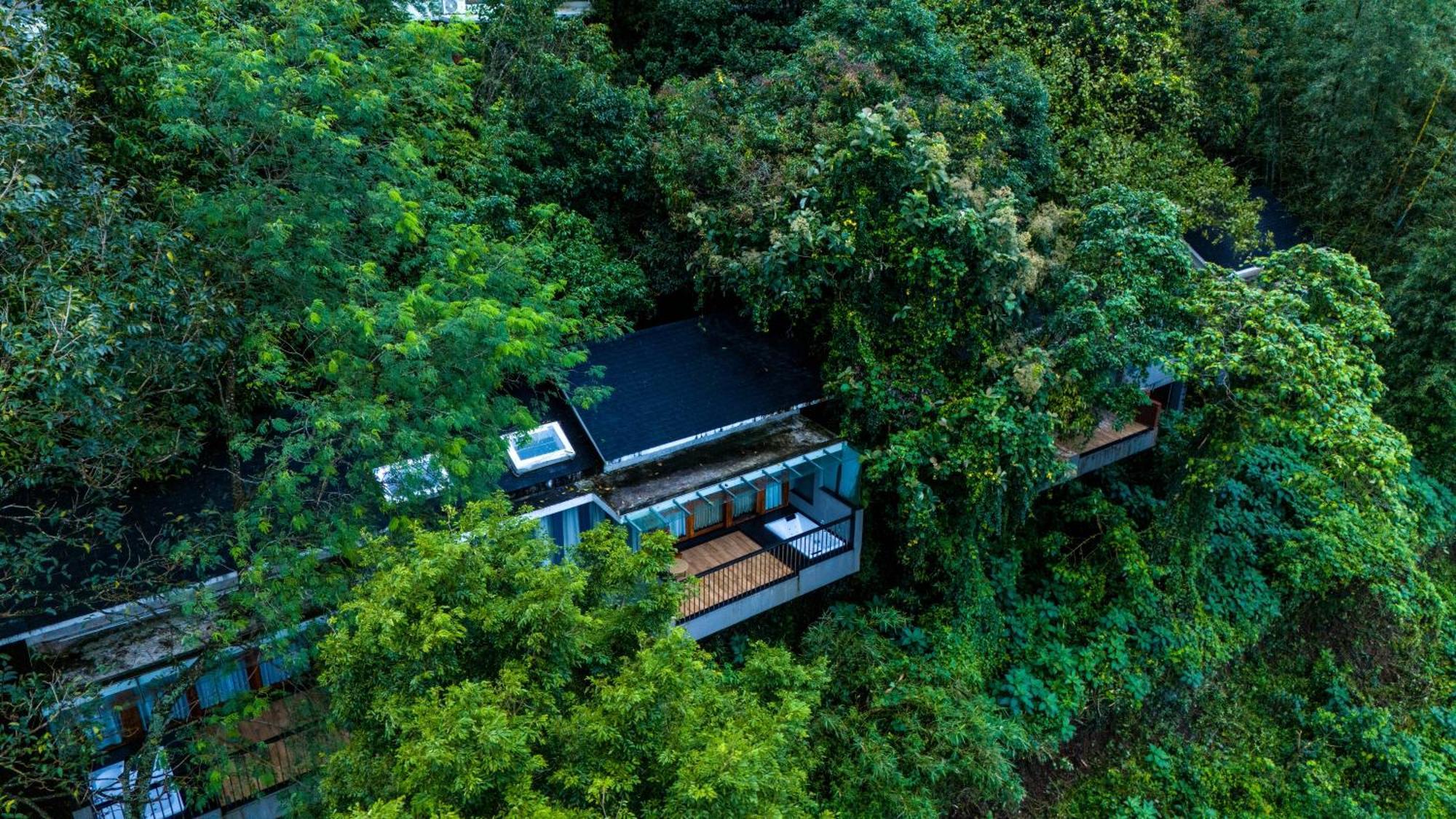 Wayanad Silverwoods Forest Resort & Spa Padinjarathara Eksteriør billede