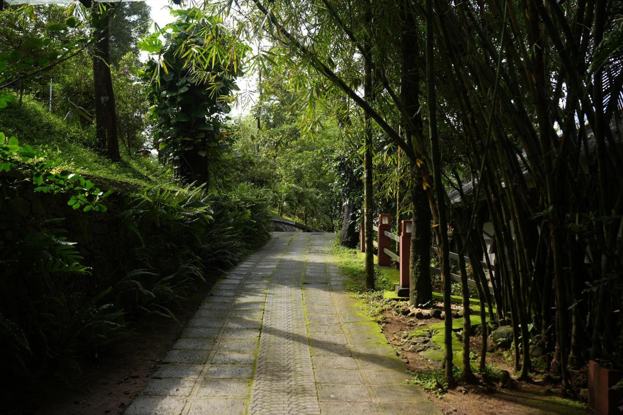 Wayanad Silverwoods Forest Resort & Spa Padinjarathara Eksteriør billede