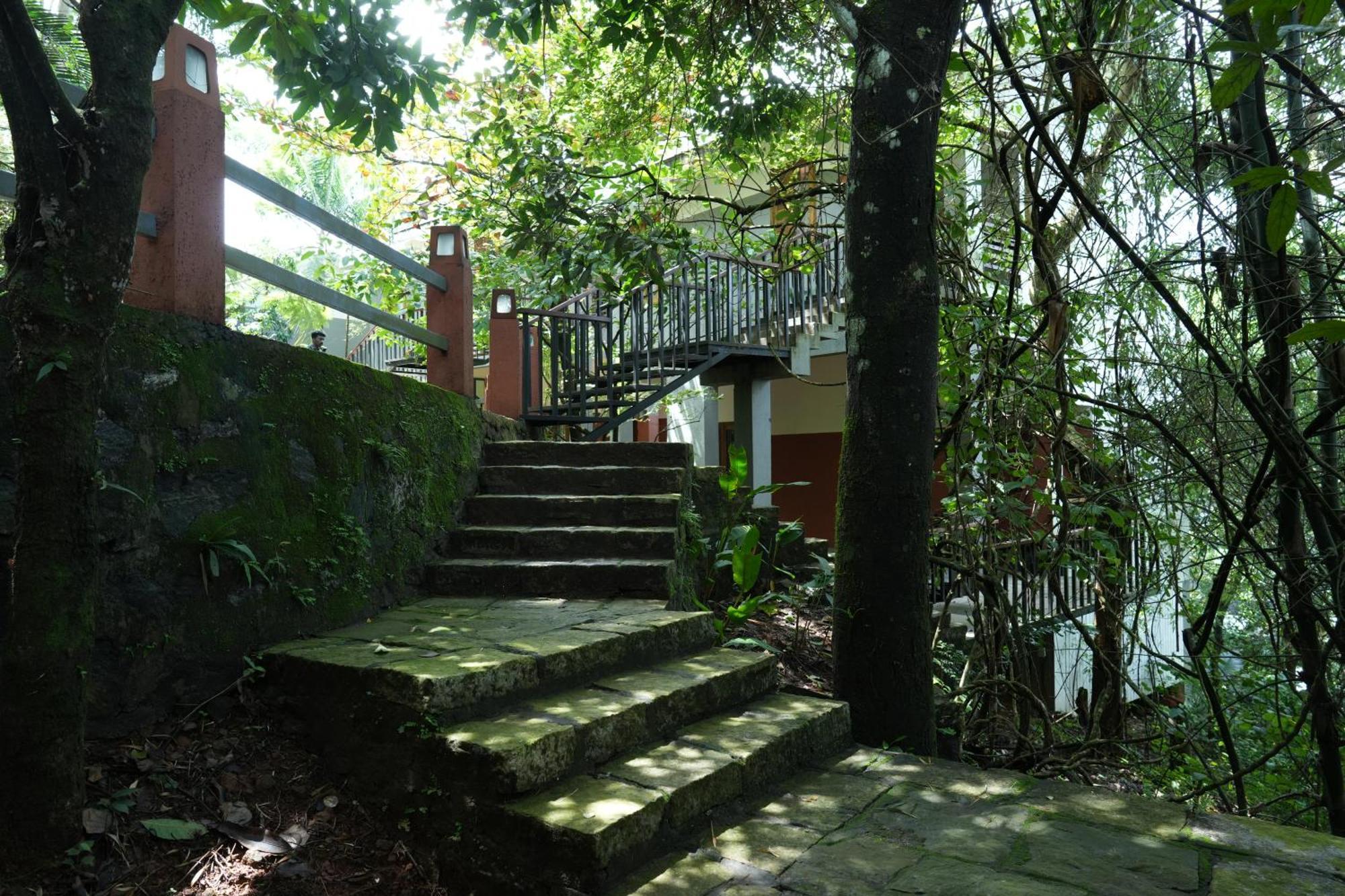 Wayanad Silverwoods Forest Resort & Spa Padinjarathara Eksteriør billede