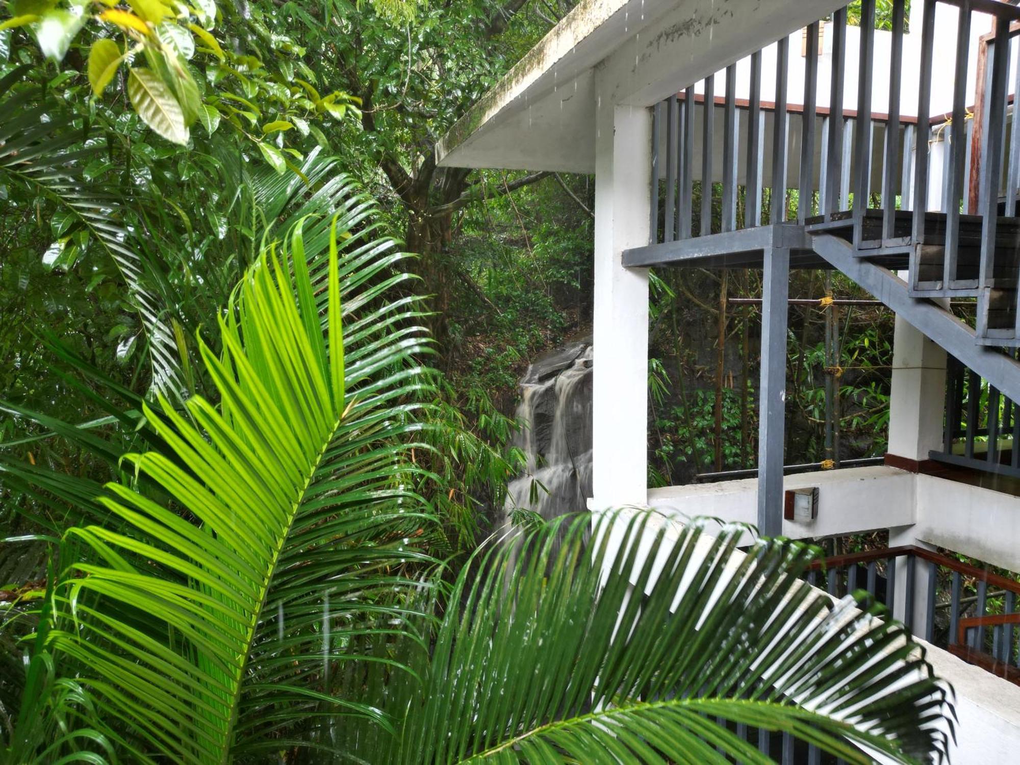Wayanad Silverwoods Forest Resort & Spa Padinjarathara Eksteriør billede